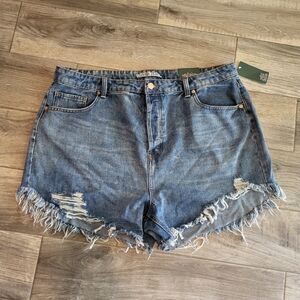 Wild Fable Raw Hem Distressed High Waist Shorts Nwt 18